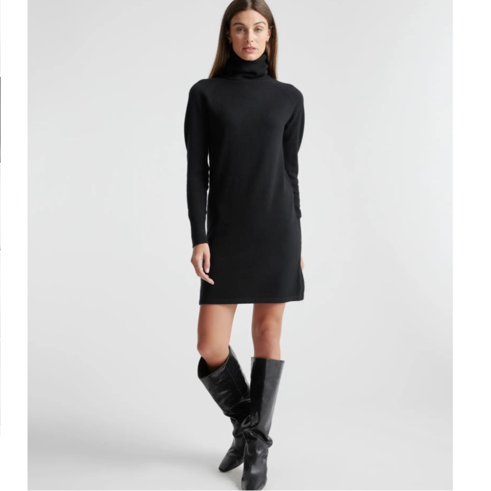 Quince 100% Mongolian Cashmere Minimalist Black Turtleneck Sweater Dress X-Small